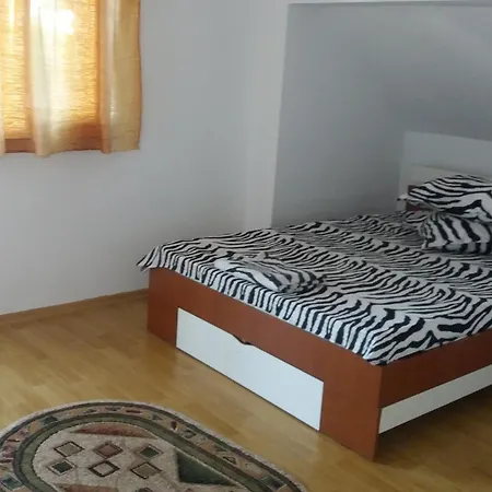 Casa Hidan * Sulina